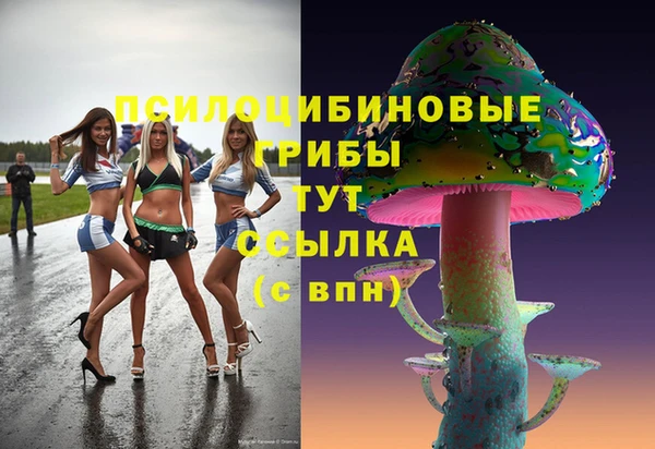 дмт Алзамай