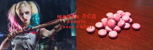 дмт Алзамай