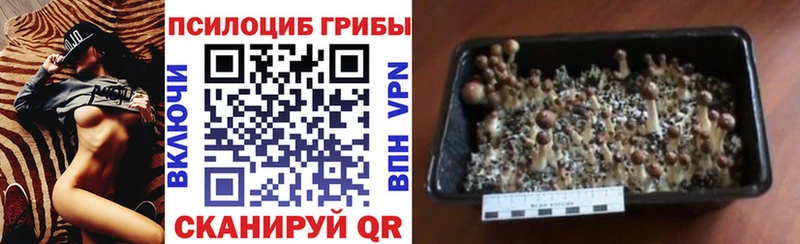 Галлюциногенные грибы мухоморы  Анапа 